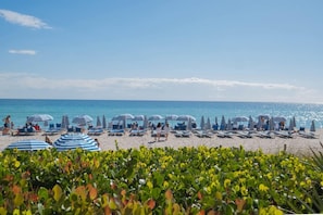 Beach - Beachwalk Studio | Beach Access - Resort Amenities (HALNDLE BCH)