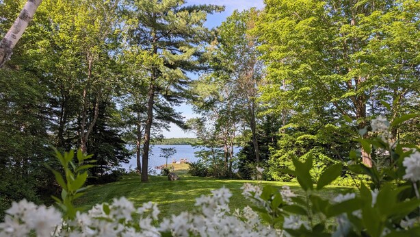 A natural landscape with a lake, trees, and white flowers in the foreground.