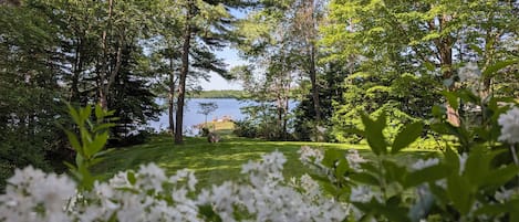 Overnatningsstedets område