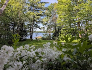 A natural landscape with a lake, trees, and white flowers in the foreground.