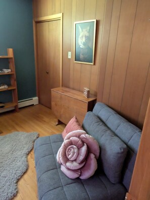 Smart TV, tavolo da calcetto, tavolo da ping pong, libri