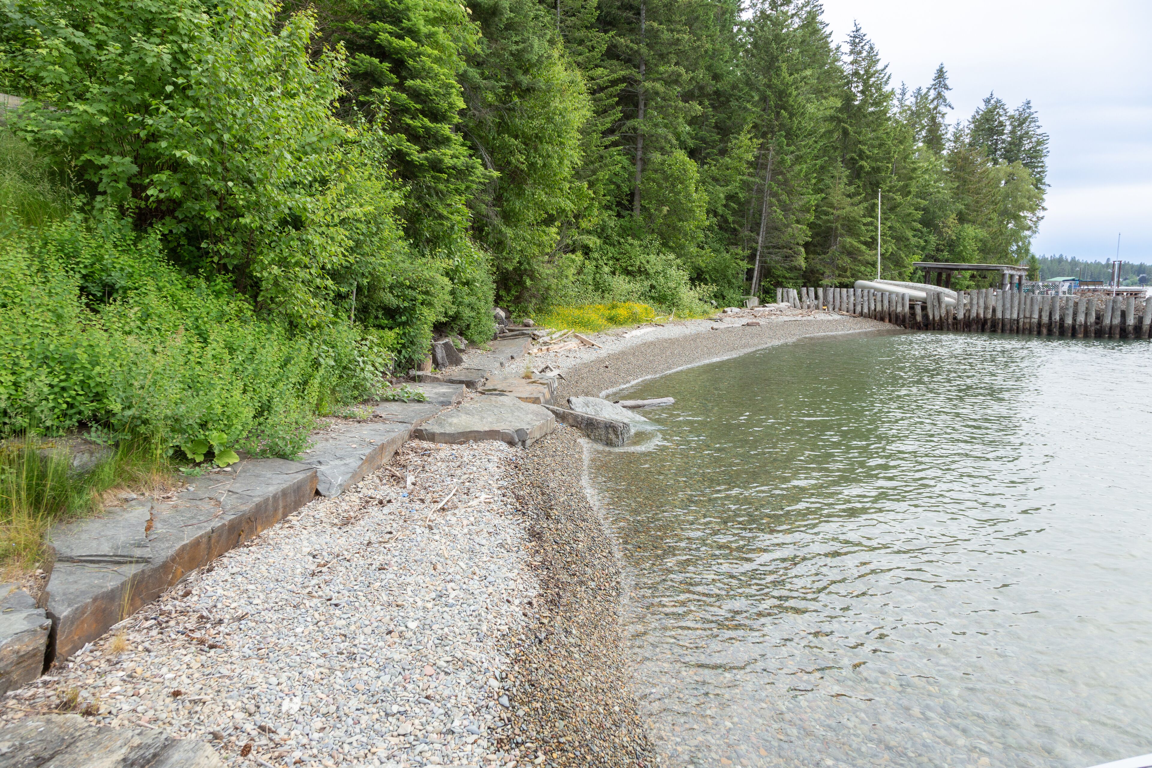A pebbled waterfront with a wooden dock extending into calm water, surrounded by dense green trees.