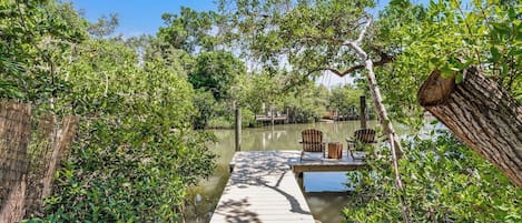 A wooden dock leading to a boat, surrounded by dense greenery and a calm body of water.