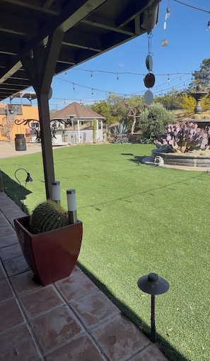 A patio area with artificial grass, a potted cactus, and a small table. - Beautiful family and pet friendly estate in Temecula Wine Country region (Aguanga)