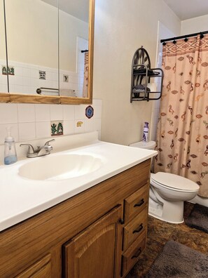 Bathroom - Northeast Albuquerque  Great View of Sandia Mountains (Albuquerque)