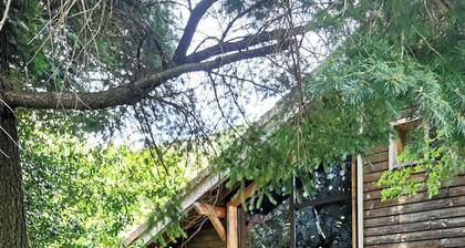 Le Grand Pin – a boreal-style house/cabin in Ardèche