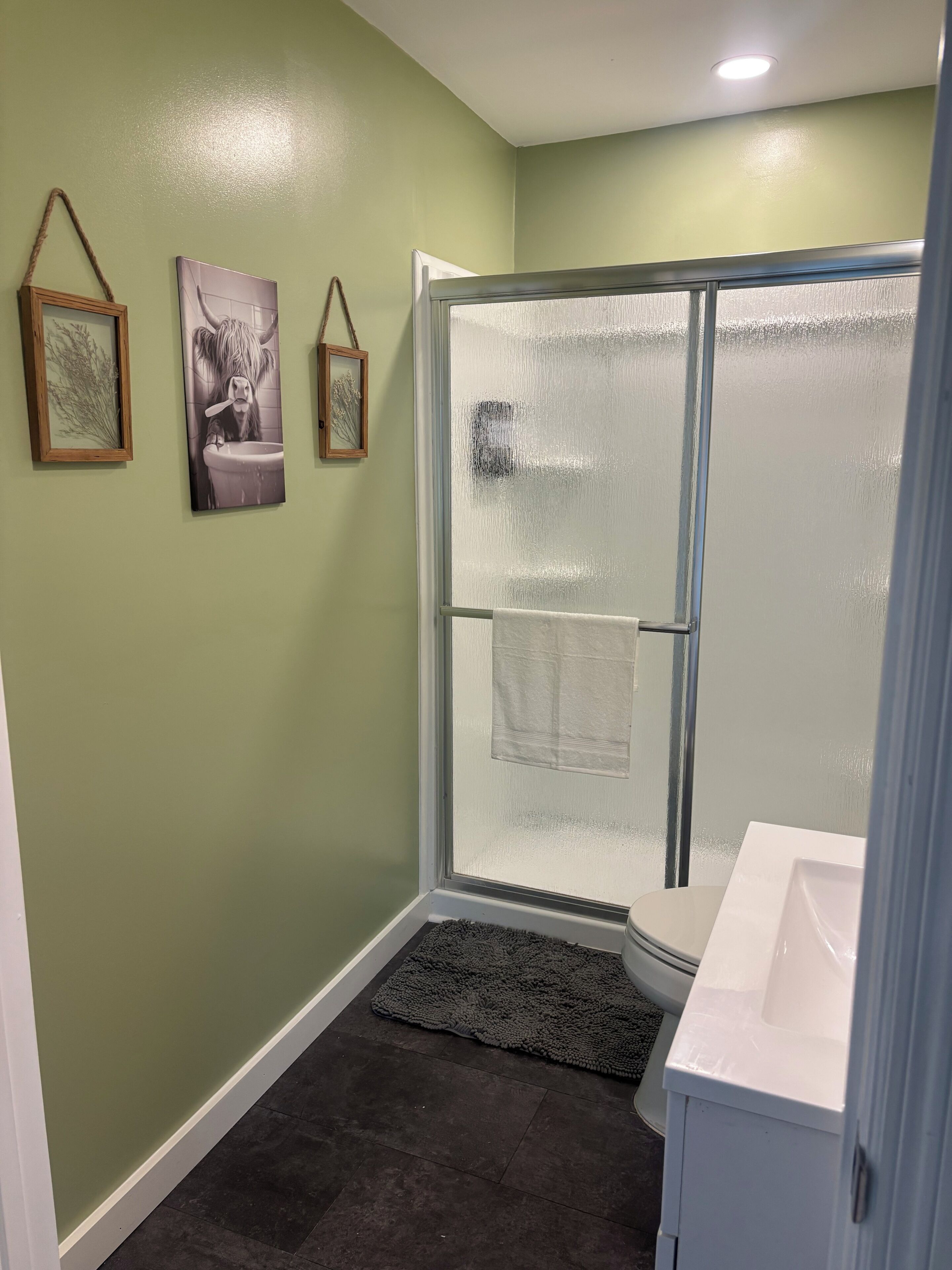 Een badkamer met een douchecabine van glas, een toilet en een wastafel.