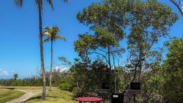 A picnic area with a table and benches, surrounded by trees and a clear sky. - Sanibel Harbour 517:  Luxury Water View! Experience gorgeous corner view! (Fort Myers)