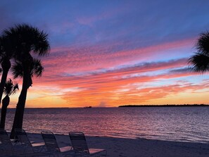Ein Strand mit Palmen, einem Sonnenuntergang und einer Reihe leerer Liegestühle.