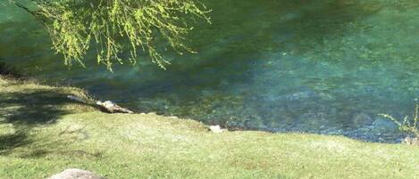 A wooden bench by a clear river with surrounding greenery.