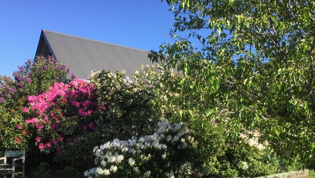 Un jardin agrémenté d’arbustes en fleurs et un bâtiment doté d’un toit gris.