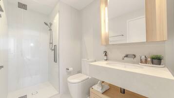 Hair dryer, towels, soap, toilet paper