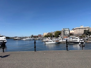 A marina with boats docked, a clear sky, and buildings in the background.