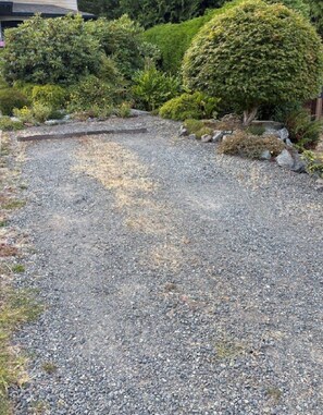 A gravel driveway leading to a house with a well-maintained garden and a large, round bush.