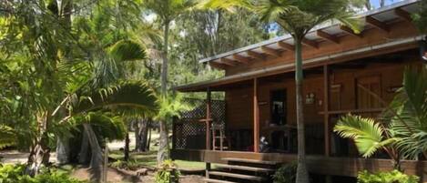 A wooden building with a porch, surrounded by tropical vegetation.