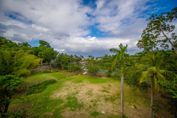 A lush green landscape with palm trees and a clear sky.
