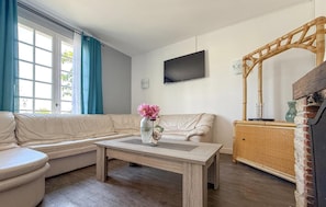 Fernseher