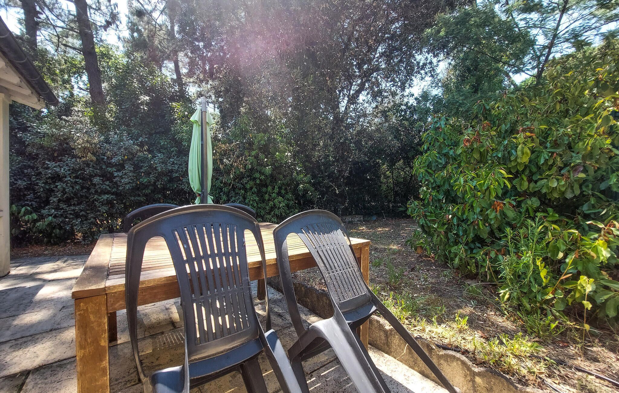A wooden table with two chairs, a green umbrella, and dense foliage in the background.