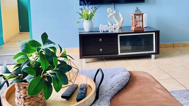 Una sala de estar con una televisión de pantalla plana, un mueble bajo de madera oscura, una planta en maceta, una bandeja redonda de madera con controles remotos y una alfombra gris mullida.