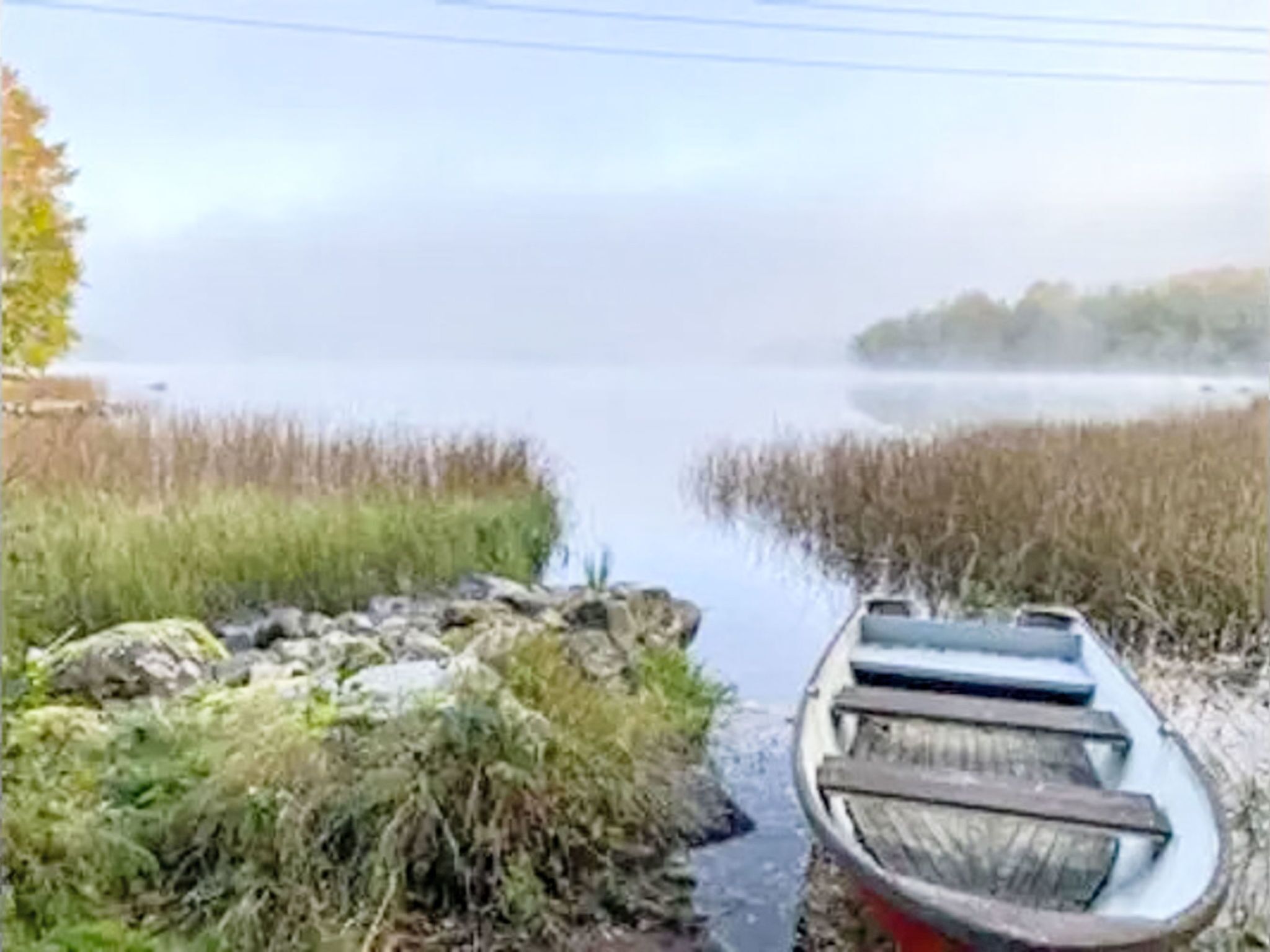 A boat on a narrow waterway surrounded by vegetation.