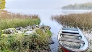Un bote en una vía fluvial estrecha rodeada de vegetación.