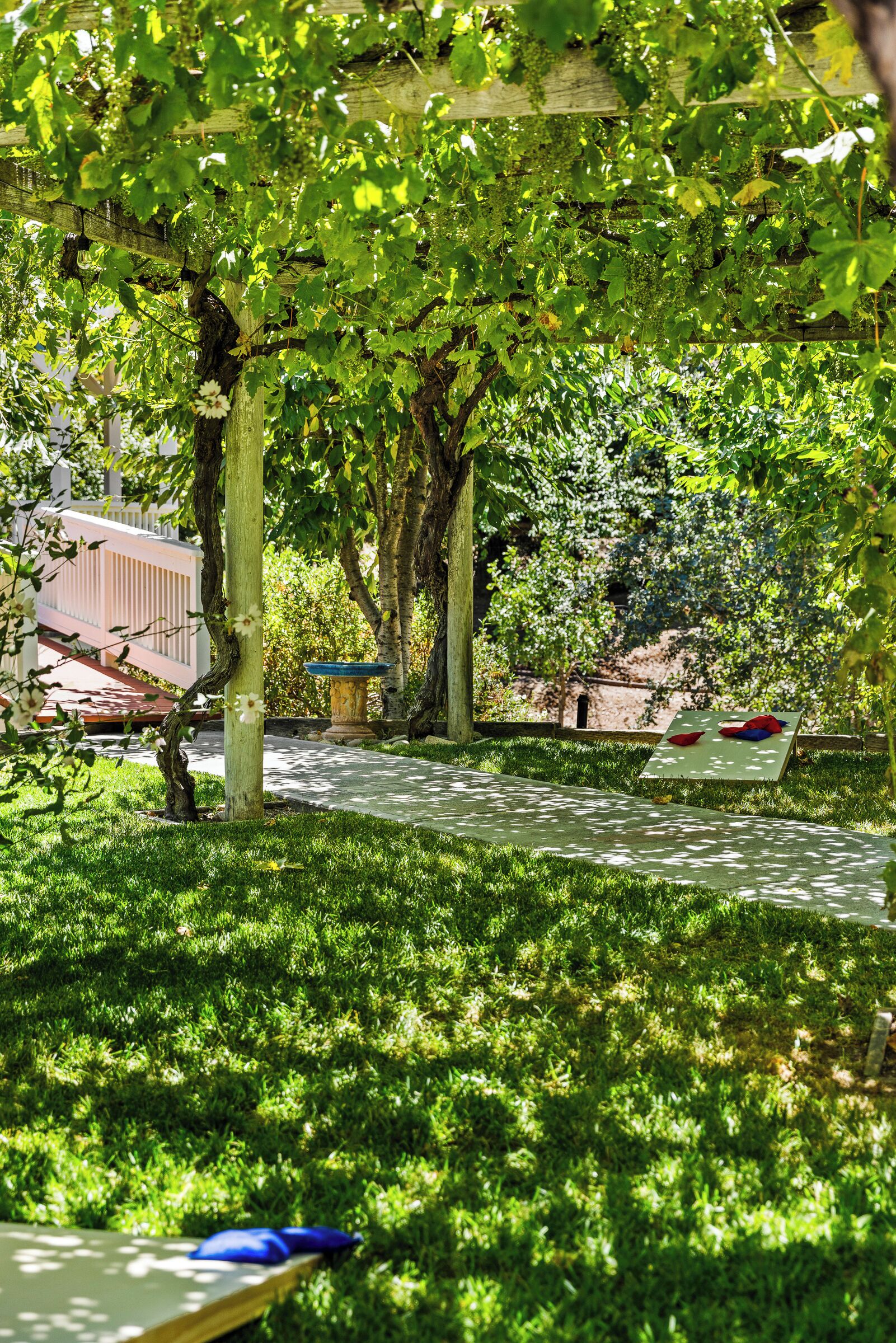 A garden with a pathway, trees, and a bench.