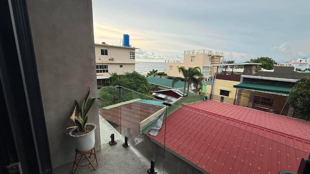 A balcony with a potted plant, a red roof, and a view of buildings and the sea.