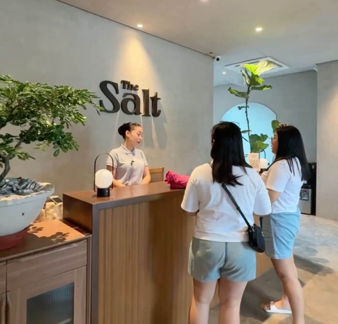 A reception desk with a sign reading 'The Salt,' a potted plant, and a small fountain.
