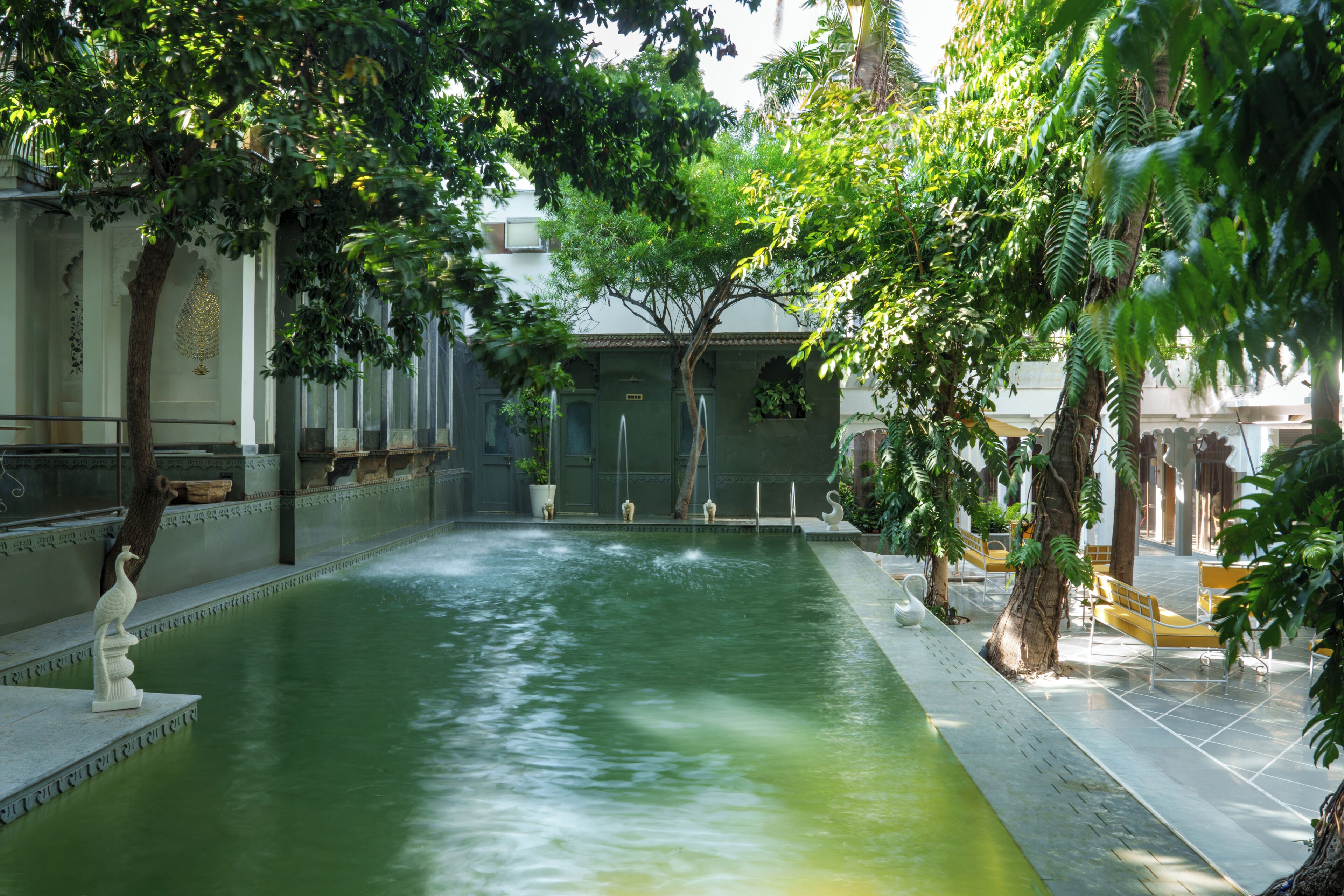 Piscine extérieure