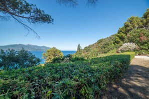 A coastal landscape with dense greenery, a clear sky, and a distant view of the sea and mountains. - Vista Sull'Enfola - Goelba (Portoferraio)