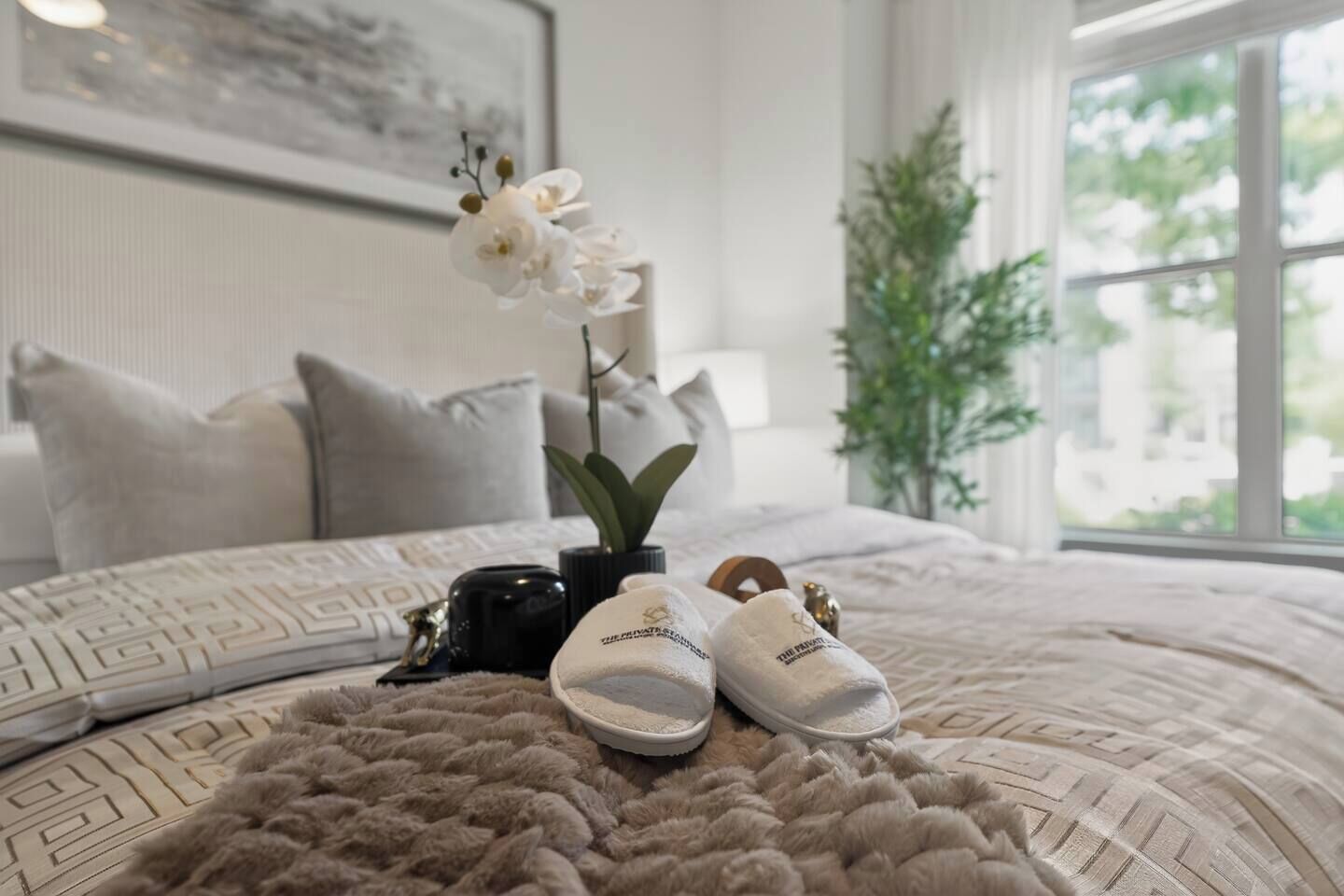 A bedroom with a bed, pillows, a plant, a pair of slippers, and a framed picture on the wall.