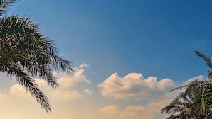 Ein Pool mit geschwungener Kante, umgeben von einer Holzterrasse und Palmen, mit Blick auf ein Gewässer.