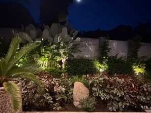 Un jardín bien iluminado con diversas plantas y una gran roca como elemento central.