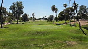 Ein Golfplatz mit einem gepflegten Grün, Sandbunkern und hoch aufragenden Palmen.