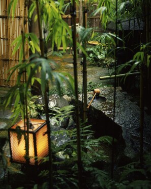 Wellness
