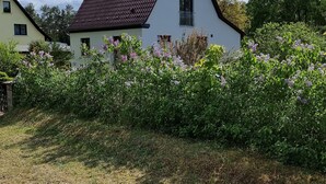 Ein weißes Haus mit rotem Dach, umgeben von viel Grün und blauem Himmel.