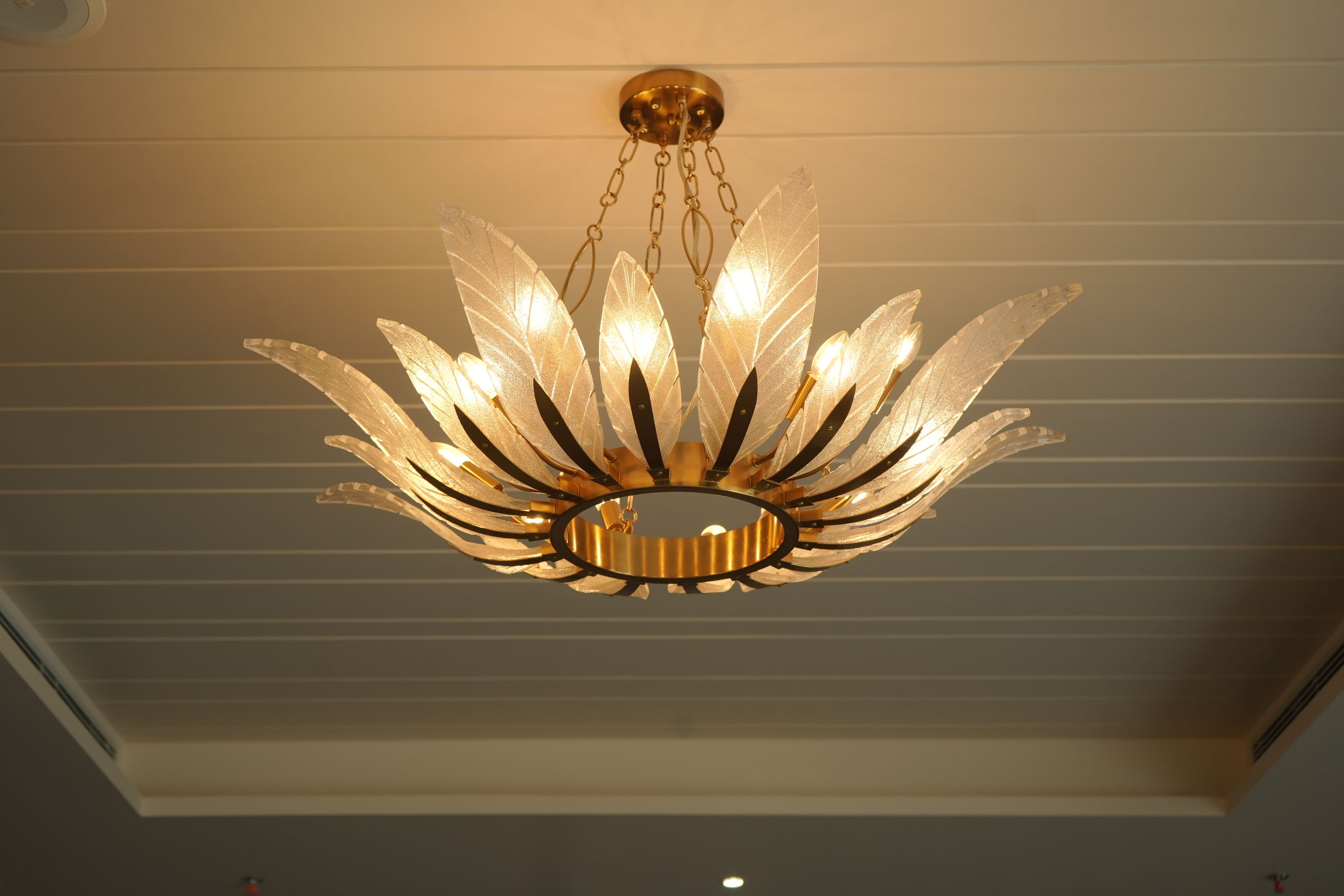 A chandelier with a central circular element and multiple leaf-shaped light fixtures.
