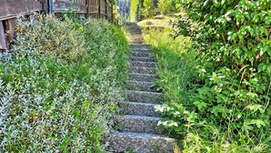 Un escalier en pierre, entouré d’une végétation luxuriante, qui monte le long d’une pente.