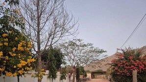 Un chemin de terre mène à un quartier résidentiel bordé d’arbres et délimité par un mur blanc.