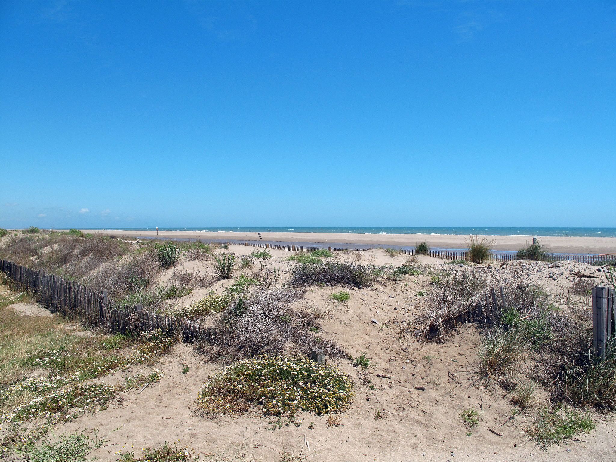 Una playa con una valla de madera y vegetación escasa.