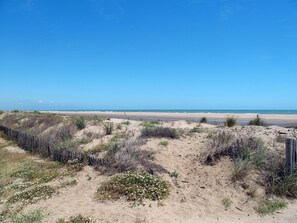 Ein Strand mit Holzzaun und spärlicher Vegetation.