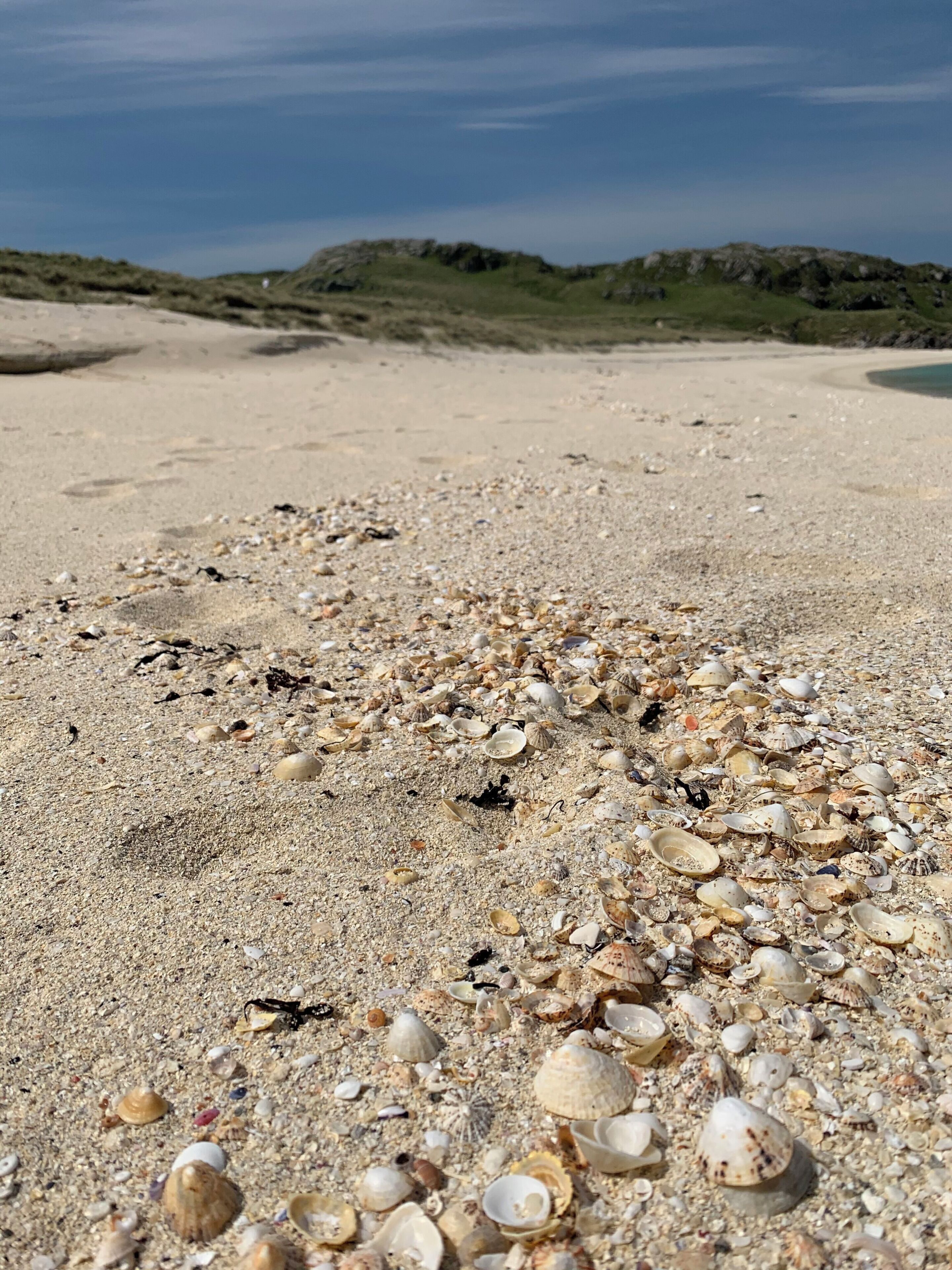 Una playa arenosa con conchas marinas dispersas y un paisaje de dunas al fondo.