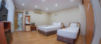 Spacious Hopa Suite & City View