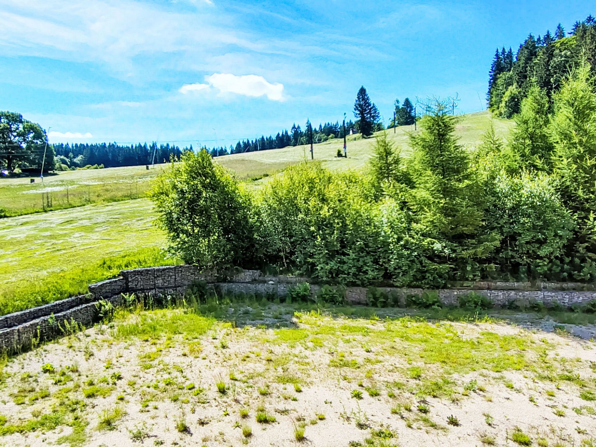 Ländliche Landschaft mit einer Steinmauer, grünen Feldern und dichter Baumgruppe.