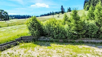 Ländliche Landschaft mit einer Steinmauer, grünen Feldern und dichter Baumgruppe.