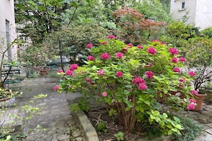 Ein Garten mit Blumentöpfen und einem gepflasterten Weg.