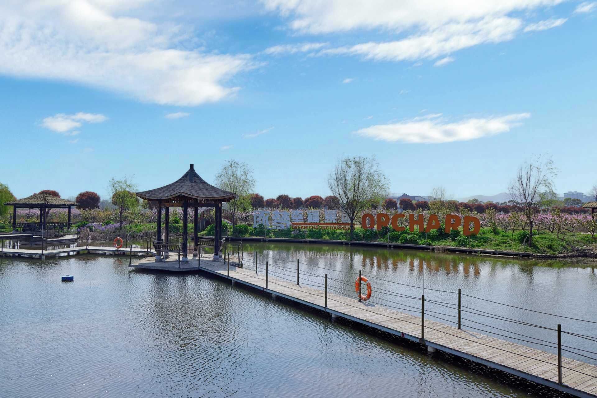 Miscelánea