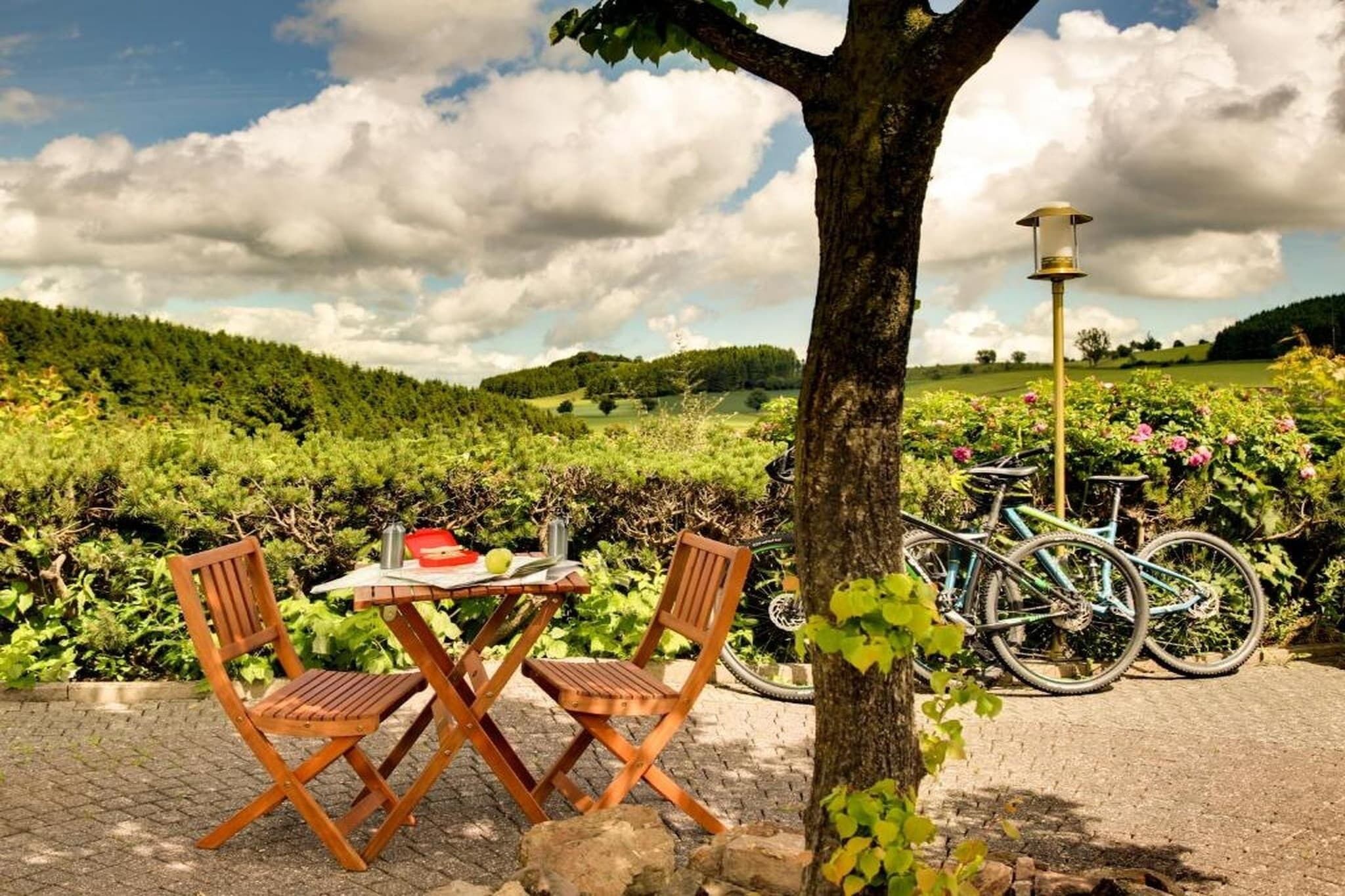 Een tafel met stoelen, een fiets en een lantaarnpaal in een wijngaard.