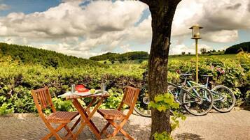 Een tafel met stoelen, een fiets en een lantaarnpaal in een wijngaard.