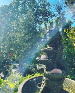 Una fuente de piedra con agua que se desliza, rodeada de abundante vegetación y árboles.
